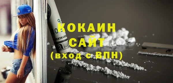 индика Абаза