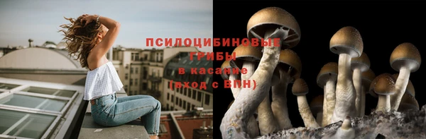 спиды Алексеевка