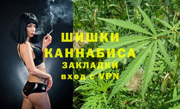 индика Абаза