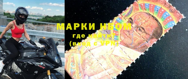 индика Абаза