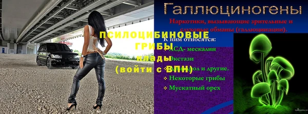индика Абаза