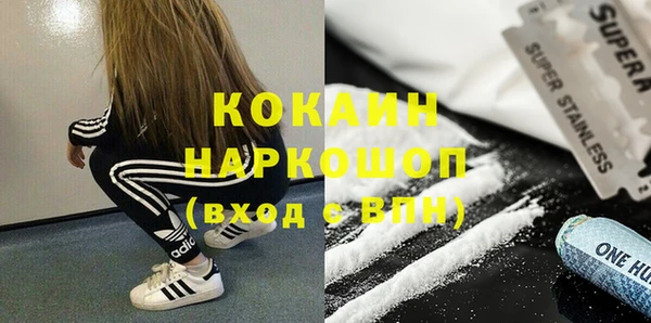 индика Абаза