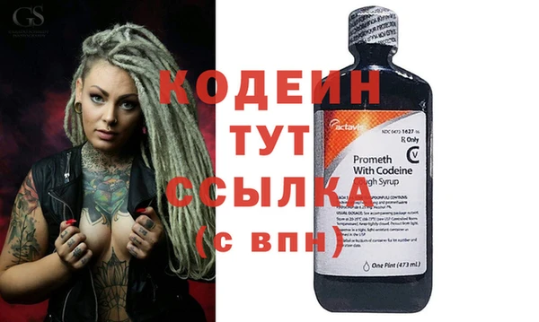 индика Абаза