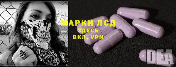 индика Абаза